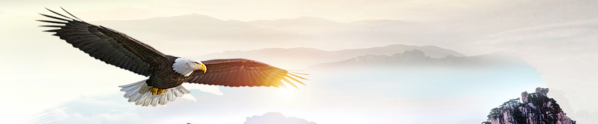 江門市蓬江區(qū)杜阮萬勝食品機(jī)械廠